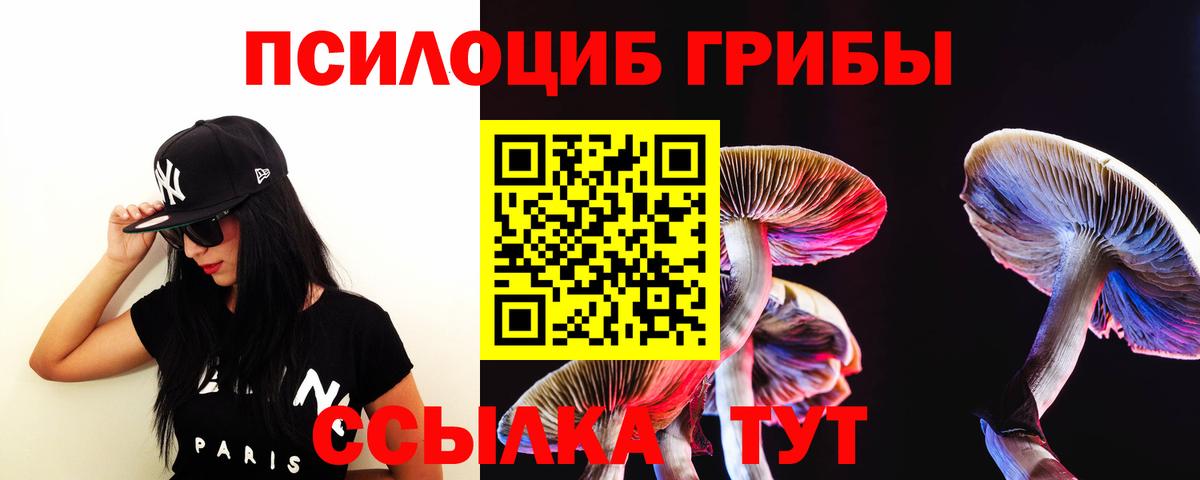 Псилоцибиновые грибы Cubensis Будённовск
